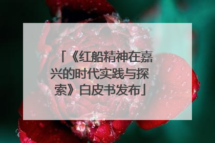 《红船精神在嘉兴的时代实践与探索》白皮书发布