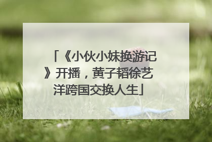 《小伙小妹换游记》开播，黄子韬徐艺洋跨国交换人生