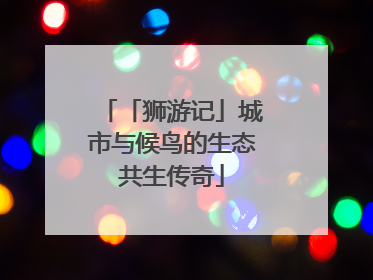 「狮游记」城市与候鸟的生态共生传奇