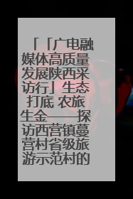 「广电融媒体高质量发展陕西采访行」生态打底 农旅生金——探访西营镇蔓营村省级旅游示范村的振兴密码