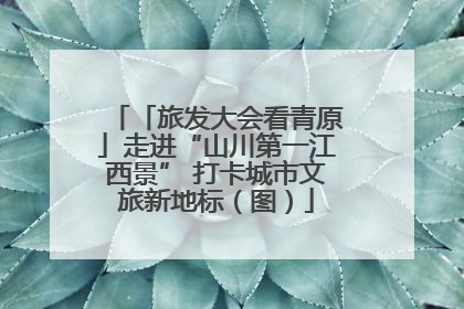 「旅发大会看青原」走进“山川第一江西景” 打卡城市文旅新地标（图）