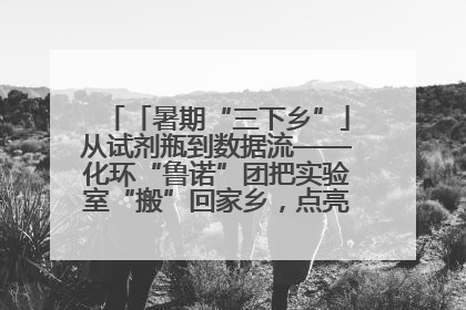 「暑期“三下乡”」从试剂瓶到数据流——化环“鲁诺”团把实验室“搬”回家乡，点亮桑梓求知路