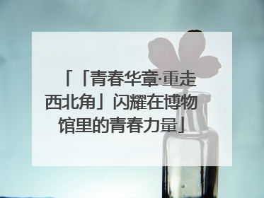 「青春华章·重走西北角」闪耀在博物馆里的青春力量