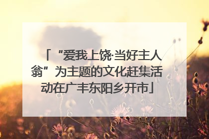 “爱我上饶·当好主人翁”为主题的文化赶集活动在广丰东阳乡开市