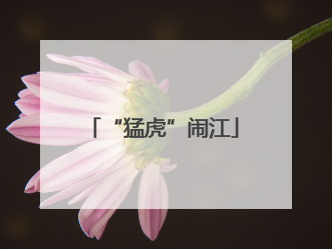 “猛虎”闹江
