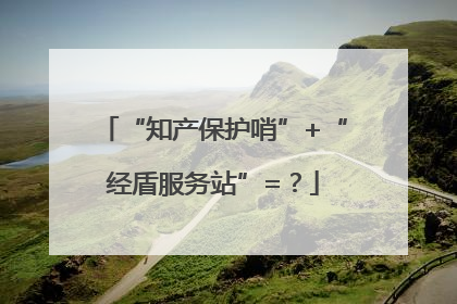 “知产保护哨”+“经盾服务站”=？