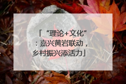 “理论+文化”：嘉兴黄岩联动，乡村振兴添活力