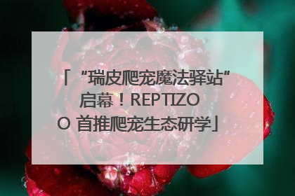 “瑞皮爬宠魔法驿站” 启幕！REPTIZOO 首推爬宠生态研学