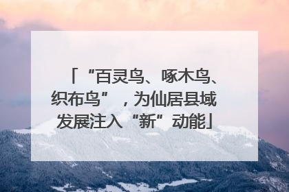 “百灵鸟、啄木鸟、织布鸟”，为仙居县域发展注入“新”动能