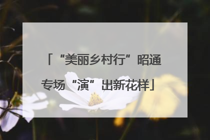 “美丽乡村行”昭通专场“演”出新花样