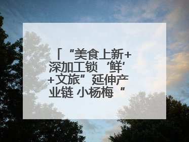 “美食上新+深加工锁‘鲜’+文旅”延伸产业链 小杨梅“撬动”大产业