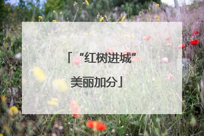 “红树进城” 美丽加分