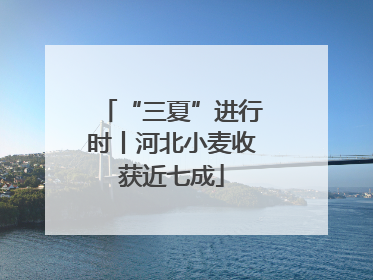 “三夏”进行时丨河北小麦收获近七成