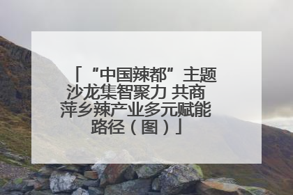 “中国辣都”主题沙龙集智聚力 共商萍乡辣产业多元赋能路径（图）