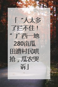 “人太多了拦不住！”广西一地280亩瓜田遭村民哄抢，瓜农哭诉