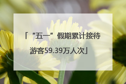 “五一”假期累计接待游客59.39万人次