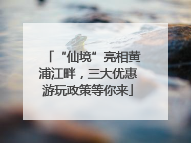 “仙境”亮相黄浦江畔，三大优惠游玩政策等你来