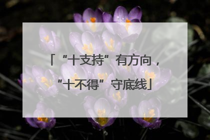 “十支持”有方向，“十不得”守底线