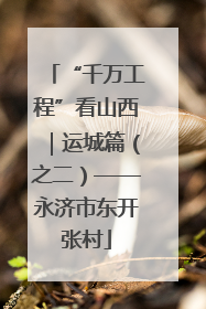 “千万工程”看山西｜运城篇（之二）——永济市东开张村