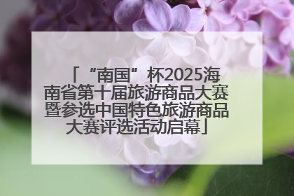 “南国”杯2025海南省第十届旅游商品大赛暨参选中国特色旅游商品大赛评选活动启幕