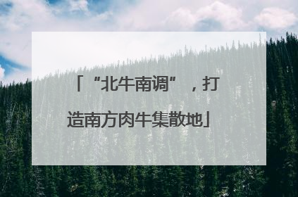 “北牛南调”，打造南方肉牛集散地