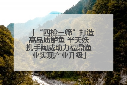 “四检三筛”打造高品质鲈鱼 半天妖携手闽威助力福鼎渔业实现产业升级