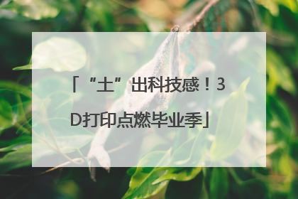 “土”出科技感！3D打印点燃毕业季