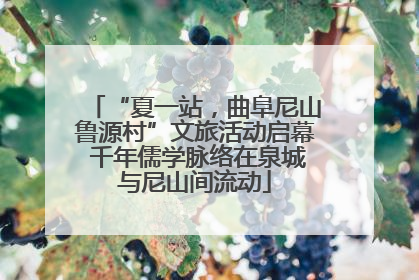 “夏一站，曲阜尼山鲁源村”文旅活动启幕 千年儒学脉络在泉城与尼山间流动