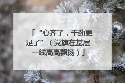 “心齐了，干劲更足了”（党旗在基层一线高高飘扬）