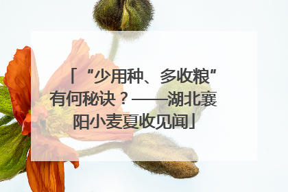 “少用种、多收粮”有何秘诀？——湖北襄阳小麦夏收见闻