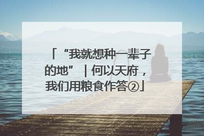 “我就想种一辈子的地”｜何以天府，我们用粮食作答②