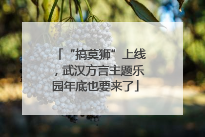 “搞莫狮”上线，武汉方言主题乐园年底也要来了