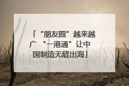“朋友圈”越来越广 “一港通”让中国制造无缝出海