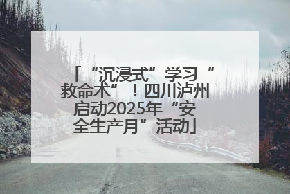 “沉浸式”学习“救命术”！四川泸州启动2025年“安全生产月”活动