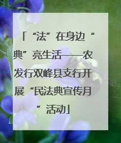 “法”在身边“典”亮生活——农发行双峰县支行开展“民法典宣传月”活动