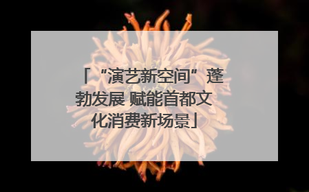 “演艺新空间”蓬勃发展 赋能首都文化消费新场景