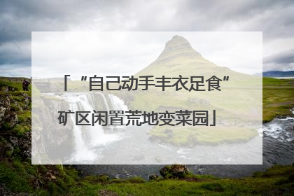 “自己动手丰衣足食”矿区闲置荒地变菜园