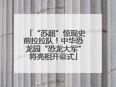 “苏超”惊现史前拉拉队！中华恐龙园“恐龙大军”将亮相开幕式