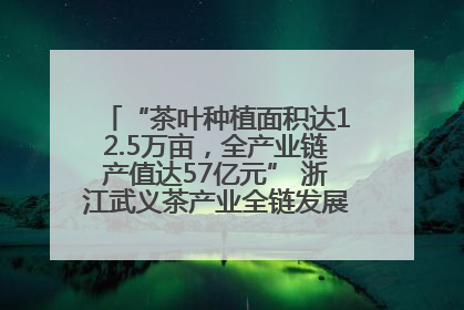 “茶叶种植面积达12.5万亩，全产业链产值达57亿元” 浙江武义茶产业全链发展“加速度”
