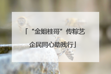 “金姐桂哥”传粽艺 企民同心助残行