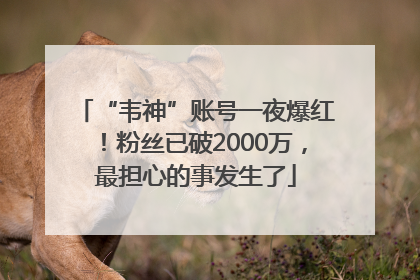 “韦神”账号一夜爆红！粉丝已破2000万，最担心的事发生了