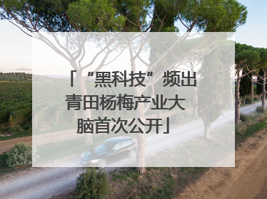 “黑科技”频出 青田杨梅产业大脑首次公开
