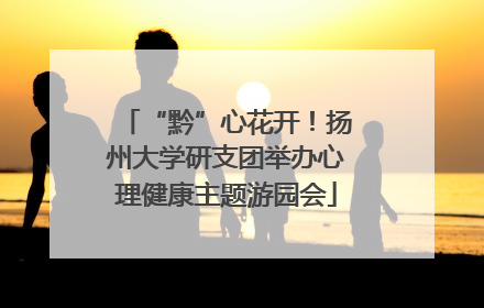 “黔”心花开！扬州大学研支团举办心理健康主题游园会