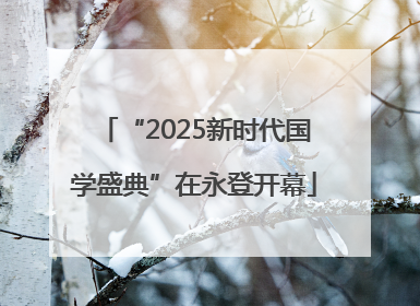 “2025新时代国学盛典”在永登开幕