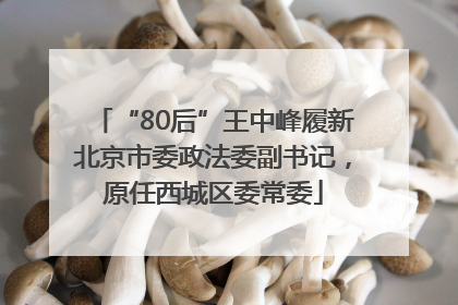 “80后”王中峰履新北京市委政法委副书记，原任西城区委常委