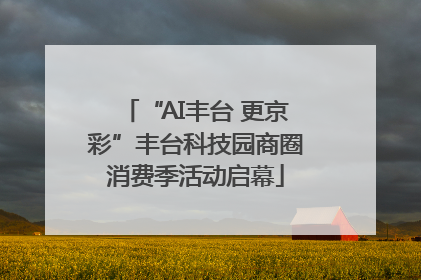 “AI丰台 更京彩”丰台科技园商圈消费季活动启幕