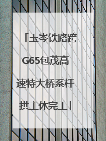 玉岑铁路跨G65包茂高速特大桥系杆拱主体完工