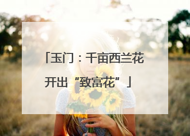 玉门：千亩西兰花开出“致富花”