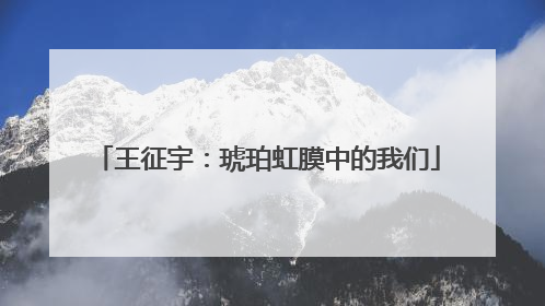 王征宇：琥珀虹膜中的我们