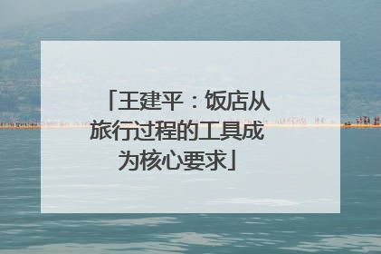 王建平：饭店从旅行过程的工具成为核心要求
